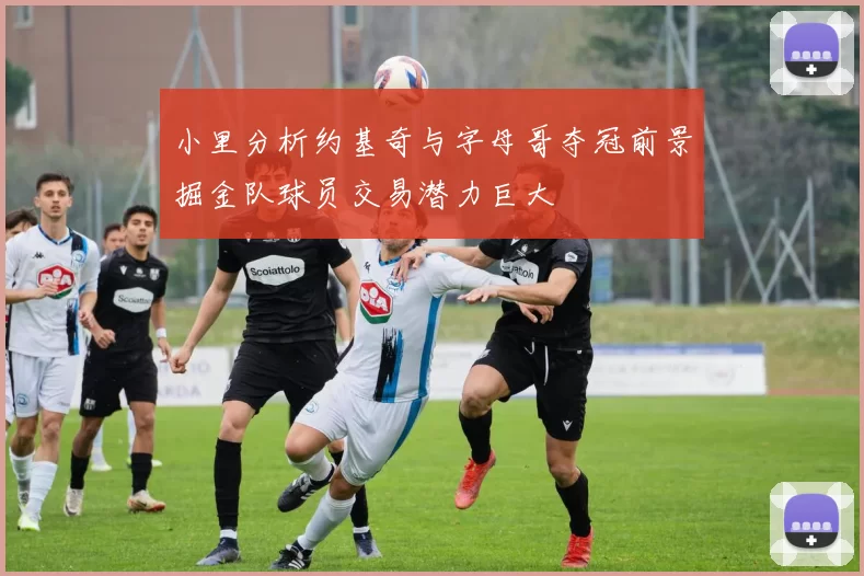 小里分析约基奇与字母哥夺冠前景掘金队球员交易潜力巨大
