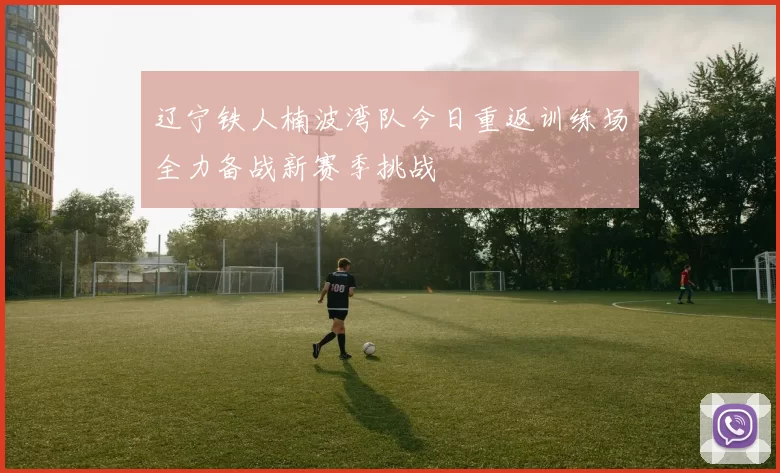 辽宁铁人楠波湾队今日重返训练场全力备战新赛季挑战